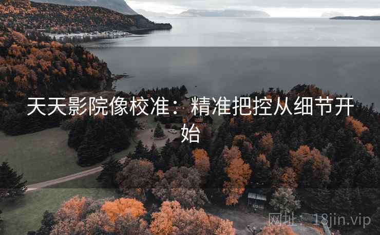 天天影院像校准:精准把控从细节开始 天天影院像校准:精准把控从细节开始